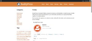  BuddyPress social networking features user profiles community